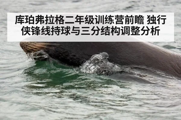 库珀弗拉格二年级训练营前瞻 独行侠锋线持球与三分结构调整分析